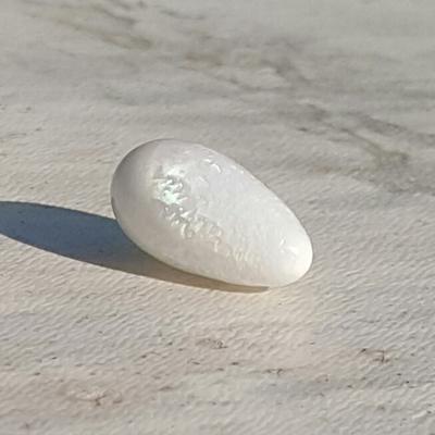 Clam Pearl Drop with Flame 6+ ct