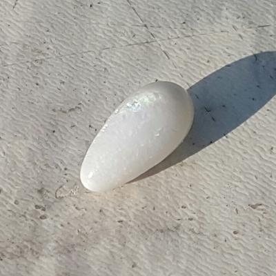 Clam Pearl Drop with Flame 6+ ct