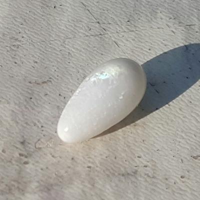 Clam Pearl Drop with Flame 6+ ct