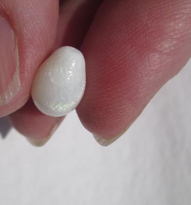 Clam Pearl Egg Shaped 4 carats 11mm with Flame