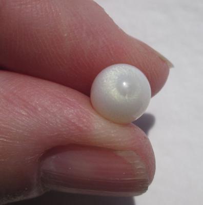 Clam Pearl Egg Shaped 4 carats 11mm with Flame