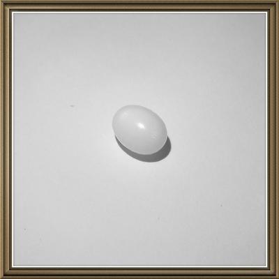 Clam Pearl Egg with Flame 1+ ct