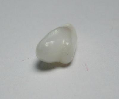 Clam Pearl Full Flame 19mm 6 carats Baroque Shape