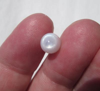 Clam Pearl Full Flame 3+ carats Oval Shaped