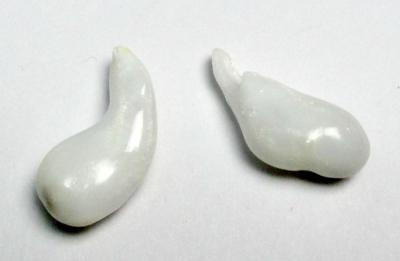 Clam Pearl Pair Curved Drops Good Matching Full Flame