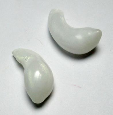 Clam Pearl Pair Curved Drops with Full Flame 21mm 17+ carats