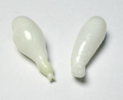 Clam Pearl Pair Drop Shape 20+mm