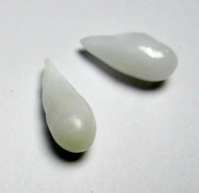 Clam Pearl Pair Drop Shaped Matched Pair 13+mm