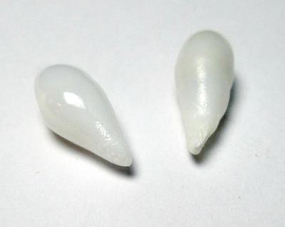 Clam Pearl Pair Drop Shaped Matched Pair 13+mm