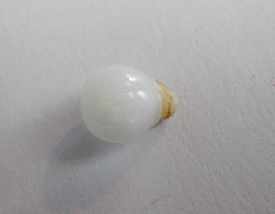 Clam Pearl Round Drop with Full Flame 8mm