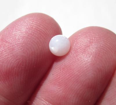 Clam Pearl Round Shape 4+ mm Flame Filled