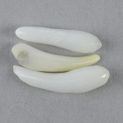 Clam Pearl Spike Trio 12+carats Total 21-23mm