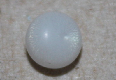 Clam pearl with flame 1.3 ct