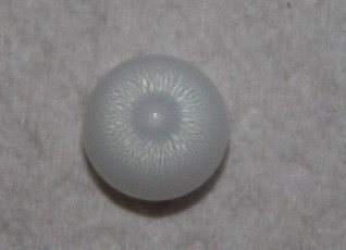 Clam pearl with flame 1.3 ct