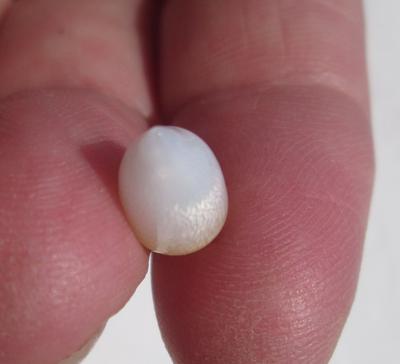 Clam Pearl with Flame 4 carats 12mm