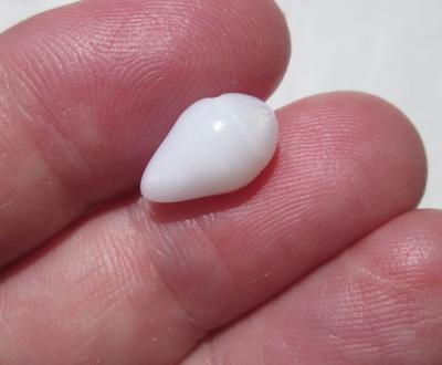 Clam Pearl with Flame 5+ Carats 12mm