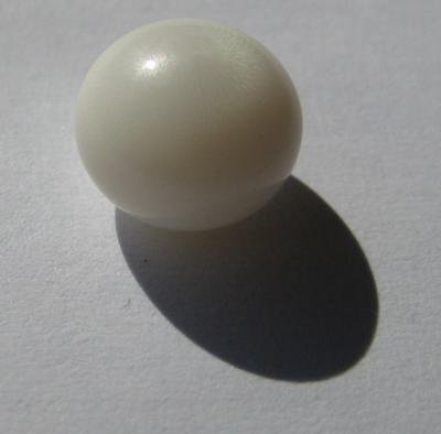 3.78 carats Oval Clam Pearl