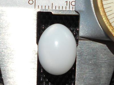 14.80 carat natural clam pearl