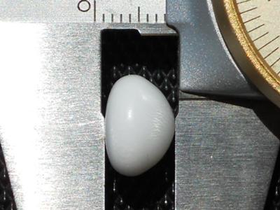 7.65 carat clam pearl