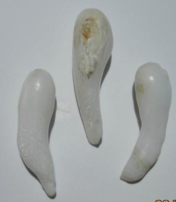 Clam Pearls 3 Long Drops 25-27mm for Sale