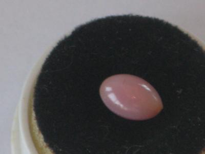Pink conch pearl