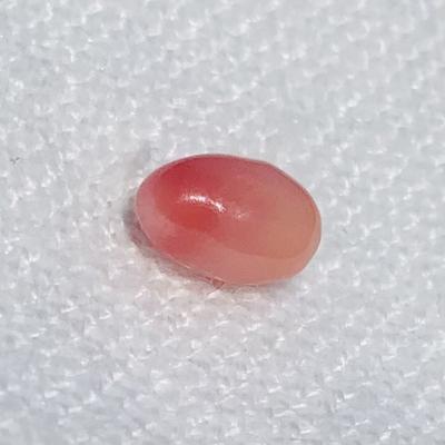 Conch Pearl 1.15 carat Pink Oval for Sale