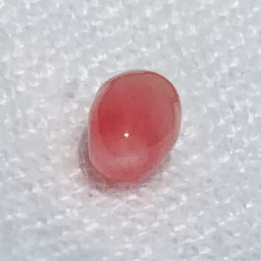 Conch Pearl 1.15 carat Pink Oval for Sale