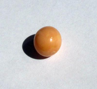 Conch Pearl 10mm Peachy Brown Color