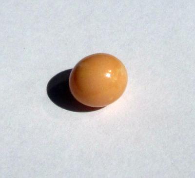 Conch Pearl 10mm Peachy Brown Color