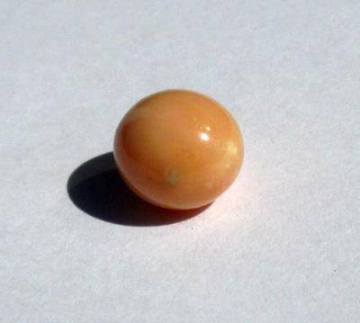 Conch Pearl 10mm Peachy Brown Color