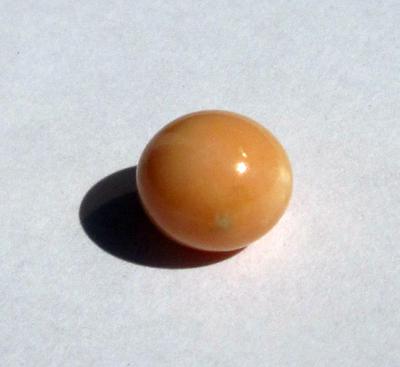 Conch Pearl 10mm Peachy Brown Color