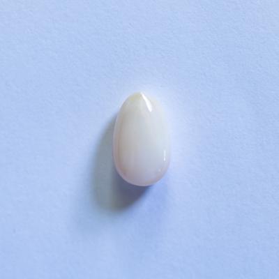 Conch Pearl 11mm 3+ carats White Drop 