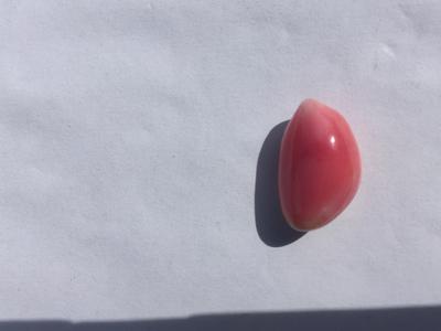 Conch Pearl 13 carats 17mm Pink & White