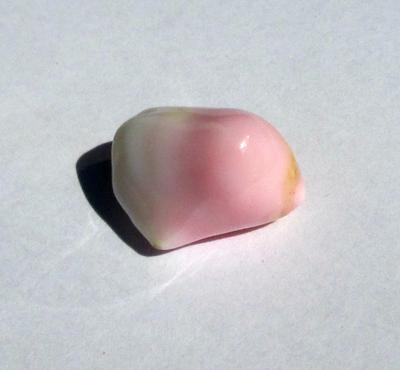 Conch Pearl 18 carats 28mm Pink and White