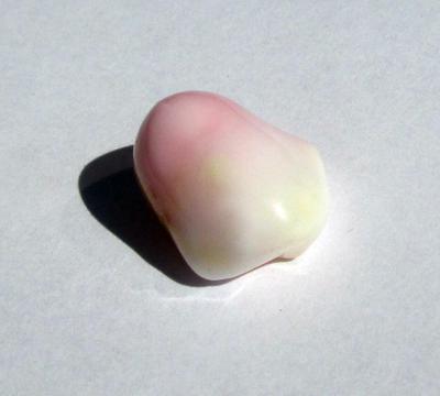 Conch Pearl 18 carats 28mm Pink and White