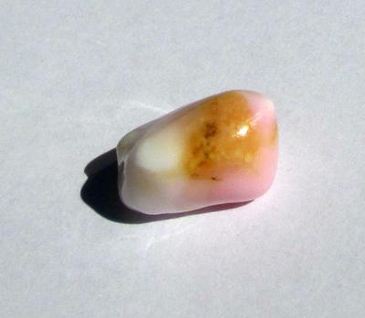 Conch Pearl 18 carats 28mm Pink and White