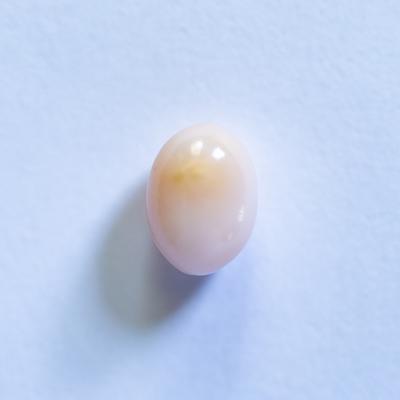 Conch Pearl 2+ carat 8mm White 