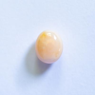 Conch Pearl 2+ carat Beige Oval 8mm