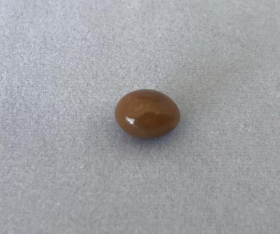 Conch pearl 2.06 ct Brown Oval for Sale