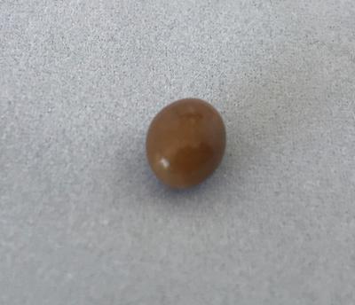 Conch pearl 2.06 ct Brown Oval for Sale