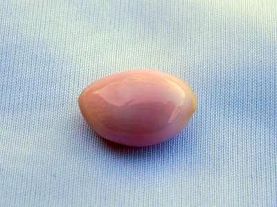 Conch Pearl 9.94 carats 15.25mm