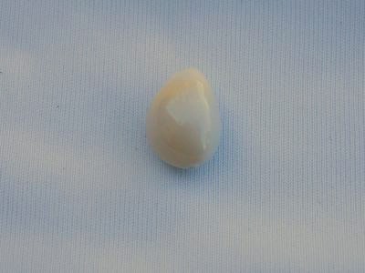 Conch Pearl 8.92 carats 14mm