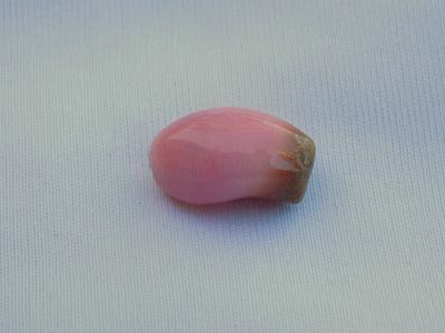 Conch Pearl 8.45 cts 15.05mm
