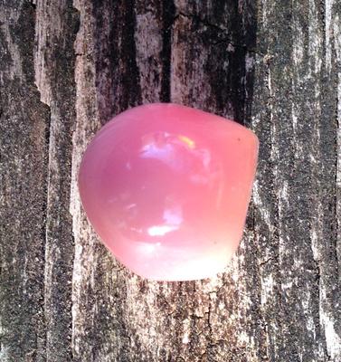 Taken in natural day light 