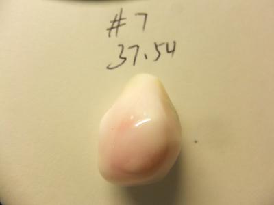 37.54ct conch pearl