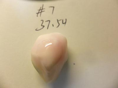 37.54ct conch pearl