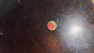 Conch pearl Found and Sold