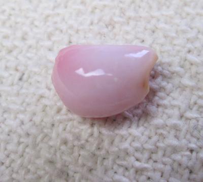 Conch Pearl 6 carats Light Pink Baroque
