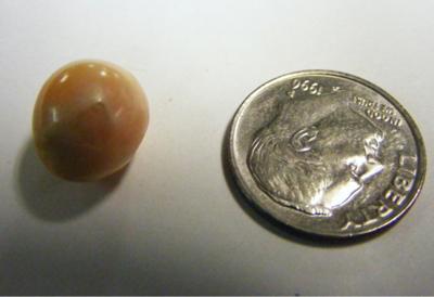 Conch Pearl 6.89 carats
