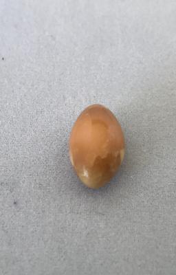Conch Pearl 7.79 ct Brown Oval 14mm for Sale